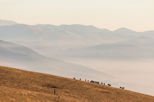 Some horses silhouettes on top of Subasio mountain, over a sea of fog filling the Umbria valley