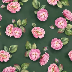 Foto op Plexiglas Watercolor shabby seamless pattern. Pink rose with leaves on dark background. © Kateryna