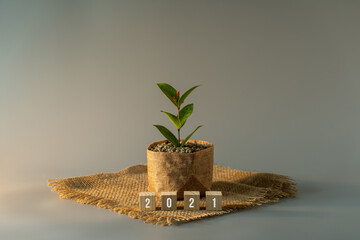 Growing plant in a sack pot with year 2021 wood block