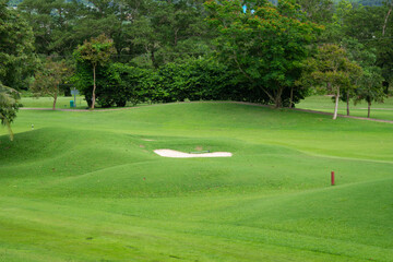 Beautiful green lawn or golf course.