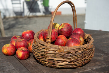 Basket of fresh apples on the wooden table in garden