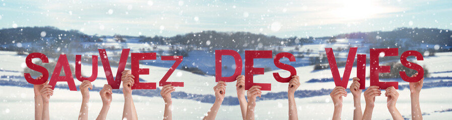 People Hands Holding Colorful French Word Sauvez Des Vies Means Save Lives. Snowy Winter Background With Snowflakes
