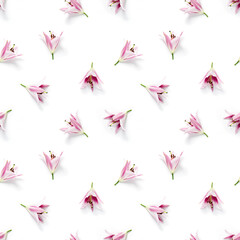 seamless pattern of Lily flower bloom. Lily flowers over white background seamless texture. flat lay flower pattern