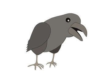 たくらんでいるカラス