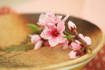 Obraz na płótnie Canvas 桃の花と蕾
