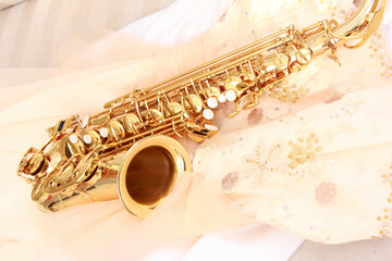 Obraz premium サックス