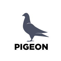pigeon logo designs simple modern elegant