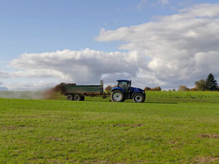 Fototapeta premium tractor throwing cow manure on a meadow in autumn in Germany