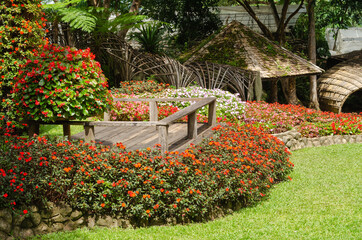 Fototapeta na wymiar beautiful design of blooming flower bed garden