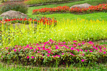 beautiful design of blooming flower bed garden