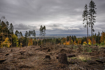 Blick auf Frankfurt am Mainz vom Altkönig
