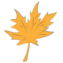 Naklejka na ściany i meble Autumn orange leaf isolated on white. Vector leaf clipart for icon, logo, sticker, cover, wall, fashion, package, print design. Fall leaf illustration
