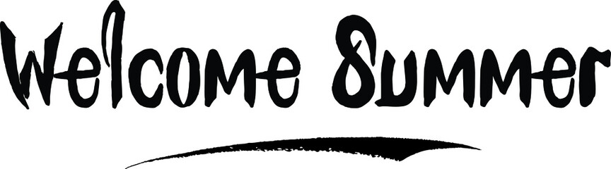 Welcome Summer Bold Calligraphy Handwritten Text on
White Background