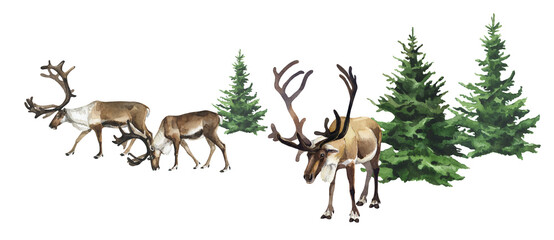 Watercolor reindeer and christmas trees on white background