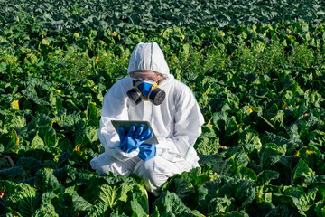expertise protective tablet farmer online chemical mask farm field harvest cabbage