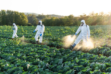 farmer spraying pesticide field mask harvest protective chemical - obrazy, fototapety, plakaty