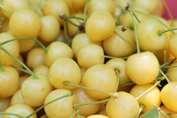  Fresh ripe cherries. Food background.