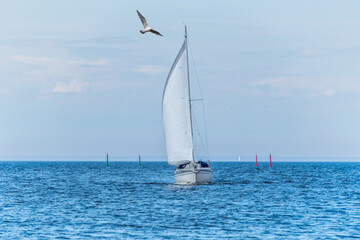 Obraz premium Sailboat on the Baltic Sea
