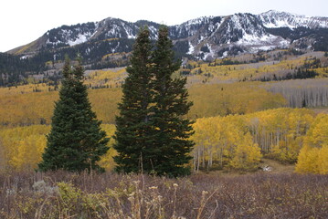 autumn in the Wasatch mountains