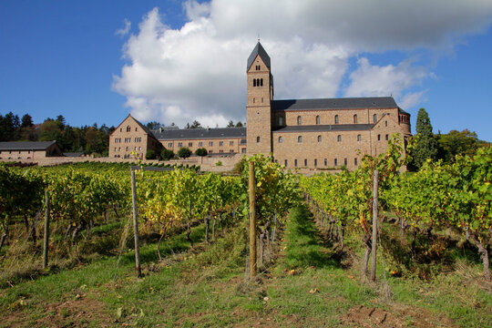 weinberge und panorama aussicht bei Abby Staint Hildegard oberhalb von R&uuml;desheim am Rhein