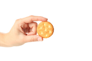 Female hand hold cracker biscuits, isolated on white background