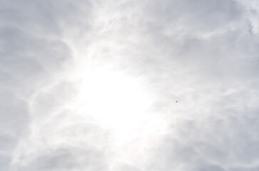 White Cloud Background