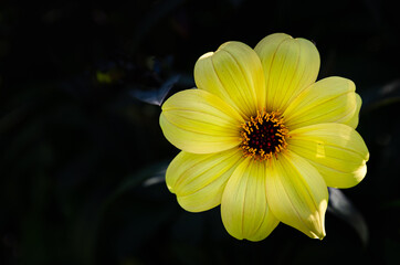 Le jardin des Martels