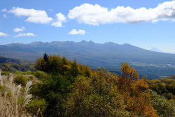 Fototapeta premium 自然の景色