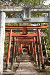 Fototapeta na wymiar 諏訪神社の玉園稲荷神社