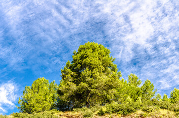 Natural landscape with blue sky and white clouds background