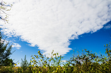 Obraz premium Natural landscape with blue sky and white clouds background