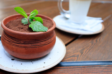 Coffee latte and tiramisu dessert on a wooden table in a cafe on the street close up