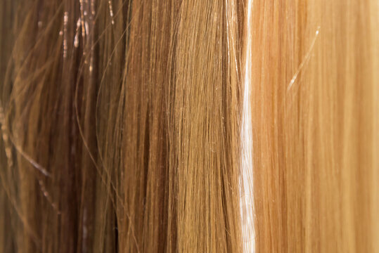 blonde haare photos royalty free