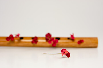flute with flowers on a white background
