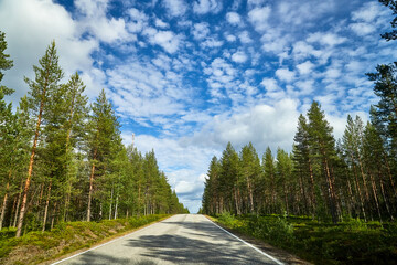 Beautiful landscape with blue sky, white clouds and the road that goes to the horizon with the forest and trees on the roadsides