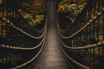 Hängebrücke im Wald