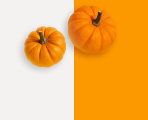 Pumpkin modern banner on orange and white background. Vegetable pumpkin poster or wallpaper. Pumpkin cooking master class. Thanksgiving day template. Autumn recipe picture. Vegan life. Flatlay . High
