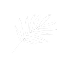 SINGLE-LINE DRAWING: 12 Leaves, Botanical 6. This hand-drawn, continuous, line illustration is part of a collection inspired by the drawings of Picasso. Each gesture sketch was created by hand.
