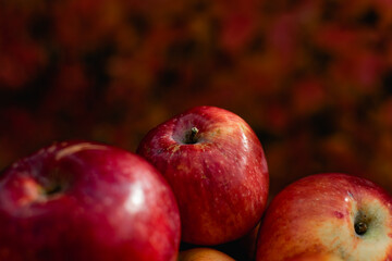 Juicy ripe red apples in autumn against the background of seasonal red colorful leaves. Crunchy sweet fruit in a vintage ceramic plate with a white tablecloth. Delicious fruits of appetizing color
