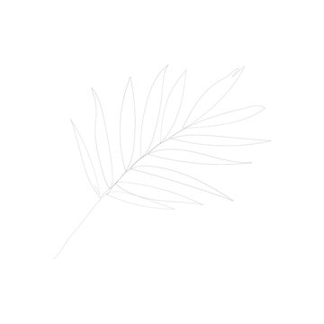 recommend clip art: SINGLE-LINE DRAWING: 12 Leaves, Botanical 6. This hand-drawn, continuous, line illustration is part of a collection inspired by the drawings of Picasso. Each gesture sketch was created by hand.