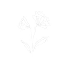 SINGLE-LINE DRAWING:Flowers & Leaves, BOTANICAL 7. This hand-drawn, continuous, line illustration is part of a collection inspired by the drawings of Picasso. Each gesture sketch was created by hand.