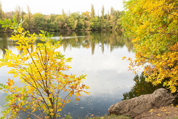 picturesque image of autumn lake with reflection of red, yellow, green trees in tranquil water. idylic, calm nature.