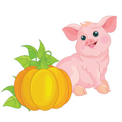 Cute pink pig  with big pumpkin