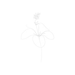 SINGLE-LINE DRAWING: HIBISCUS, Botanical 9. This hand-drawn, continuous, line illustration is part of a collection inspired by the drawings of Picasso. Each gesture sketch was created by hand.