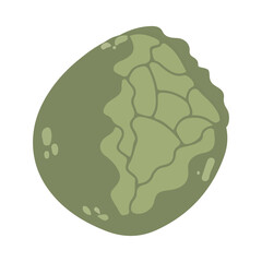 Brussels sprouts in cartoon style. Vector image. Isolated on white