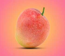 Mango fruit on pink background with clipping path