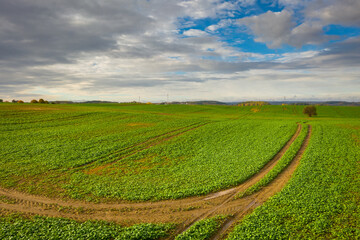 Fototapeta na wymiar Beautiful landscape of a plowed field in Poland