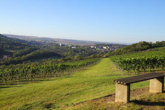 A viewpoint in the vineyards of Bad Sulza, to the city. Thuringia - Germany