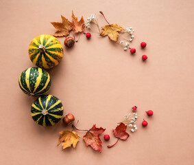 Autumn decoration with pumpkins and dry leaves