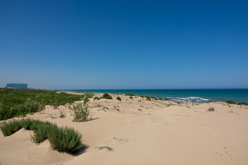 Broadwalk to a sand beach, trees, ocean and blue sky